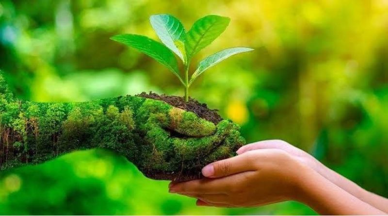 Trung Quốc Công Bố Lộ Trình Báo Cáo Bền Vững Mới: Hướng Tới Chuẩn Mực Chung Toàn Cầu