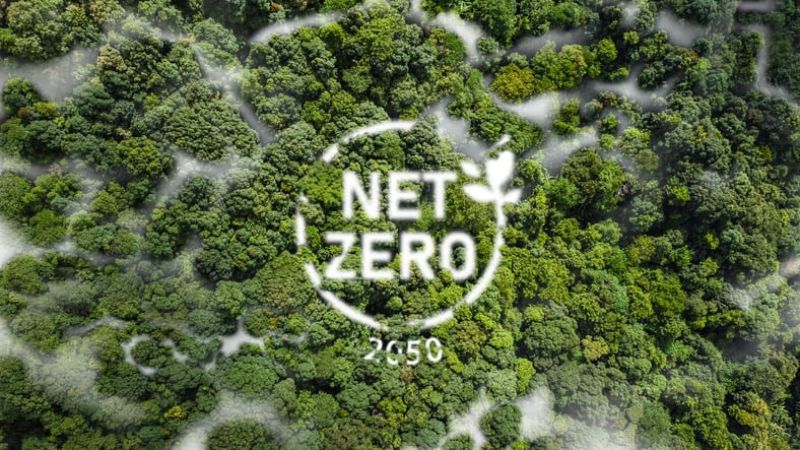 TƯ VẤN VÀ ĐÀO TẠO LỘ TRÌNH NET ZERO THEO SBTI