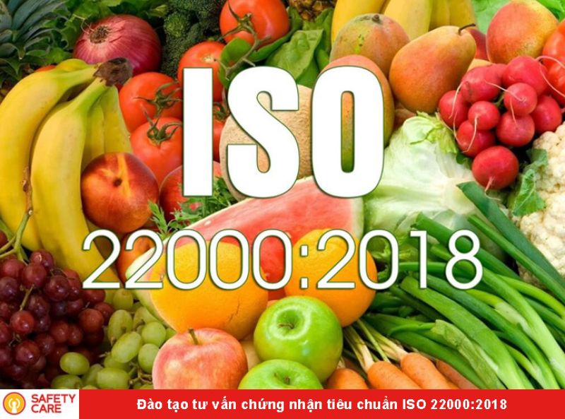 TƯ VẤN VÀ ĐÀO TẠO TIÊU CHUẨN ISO 22000:20018