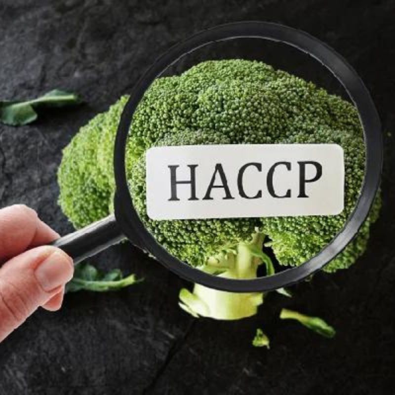 TƯ VẤN VÀ ĐÀO TẠO TIÊU CHUẨN TÍCH HỢP HACCP CODEX 2022/ HACCP EU/ HACCP FDA VÀ ISO 22000:2018