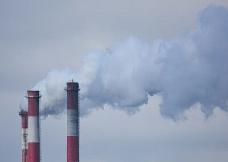 Net Zero và &quot;Lỗ hổng Kế toán&quot;: Liệu Dựa vào Rừng có Thực sự Cứu được Hành tinh?