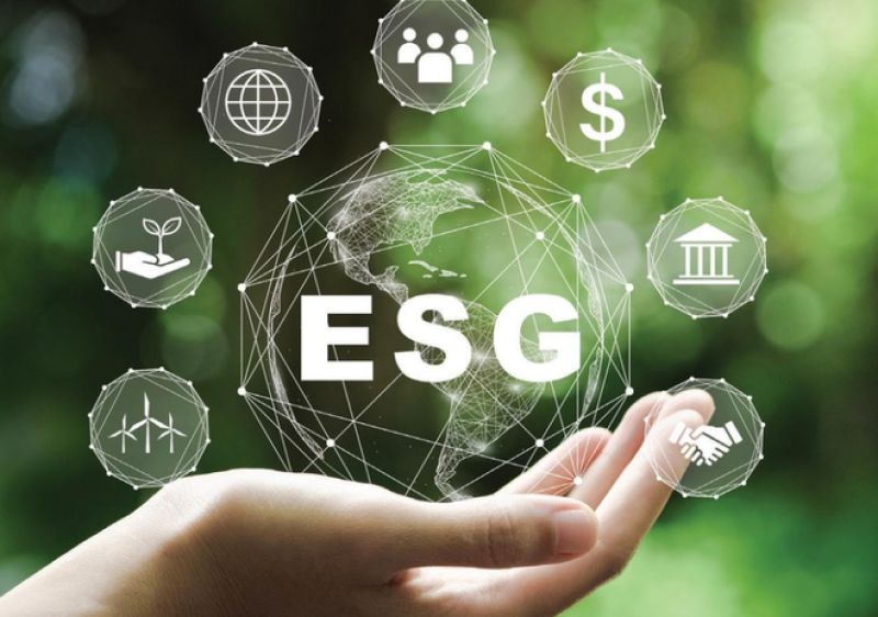 TƯ VẤN VÀ ĐÀO TẠO TIÊU CHUẨN ESG (Môi trường, Xã hội, Quản trị doanh nghiệp)