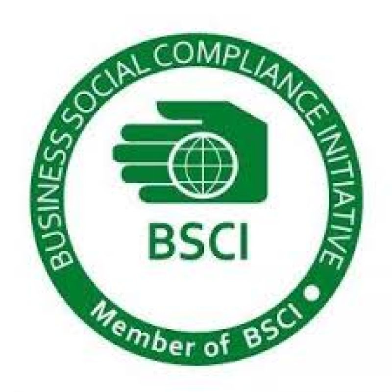 TƯ VẤN VÀ ĐÀO TẠO TIÊU CHUẨN ĐÁNH GIÁ TUÂN THỦ TRÁCH NHIỆM XÃ HỘI TRONG KINH DOANH (BUSINESS SOCIAL COMPLIANCE INITIATIVE – BSCI)